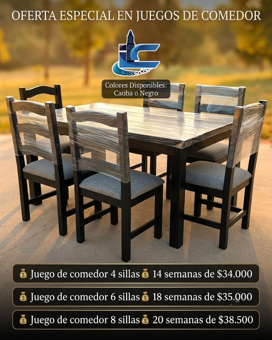 Juego Eco