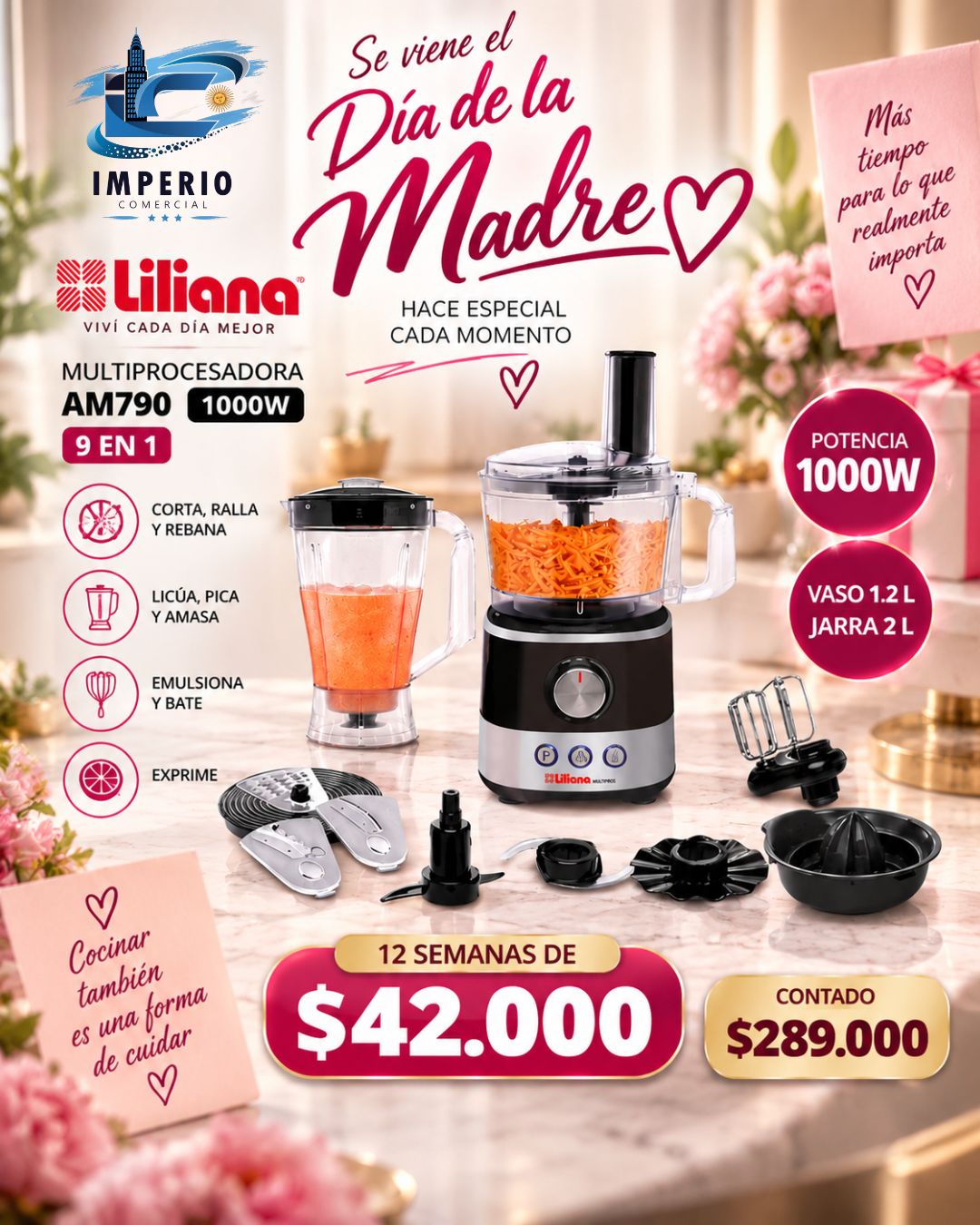 Multiprocesadora Liliana